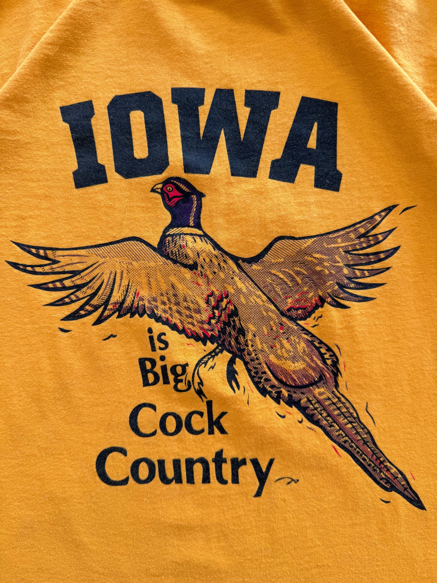 Vintage Iowa Tee - L