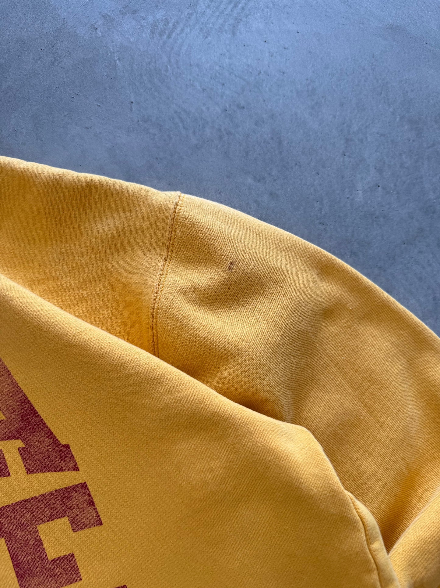 Vintage Iowa State Hoodie - L