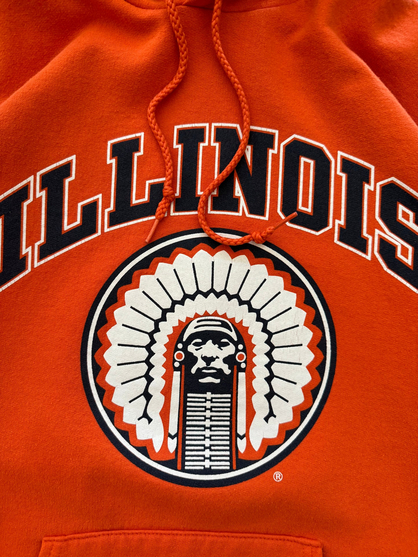 Vintage 90s University of Illinois Hoodie - M