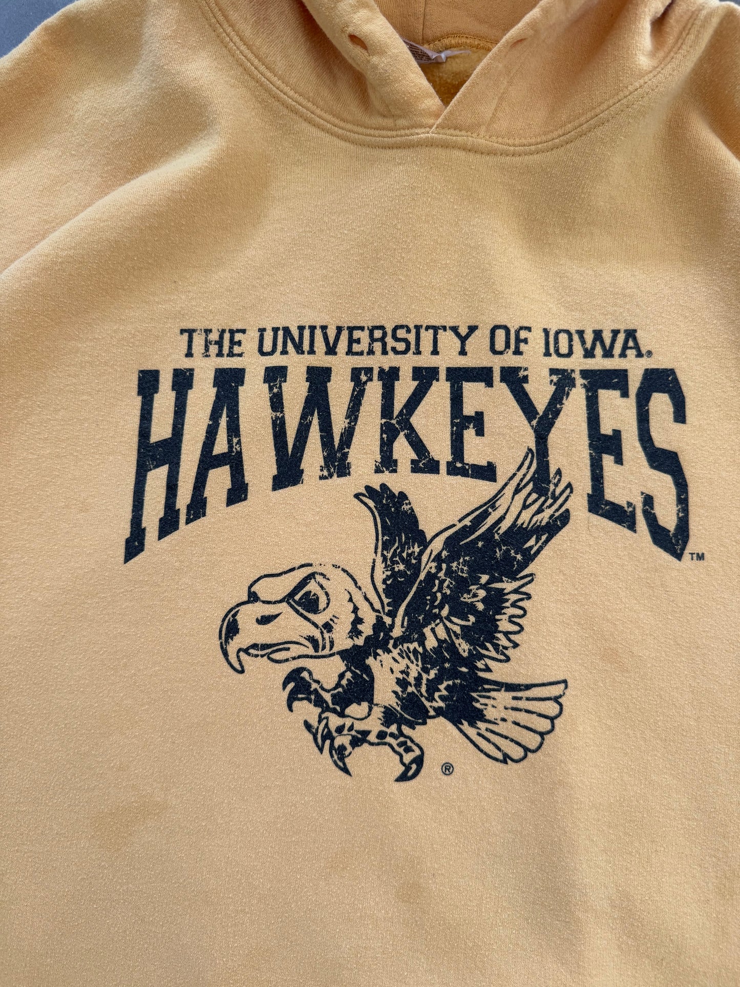 Iowa Hawkeyes Hoodie - 3XL