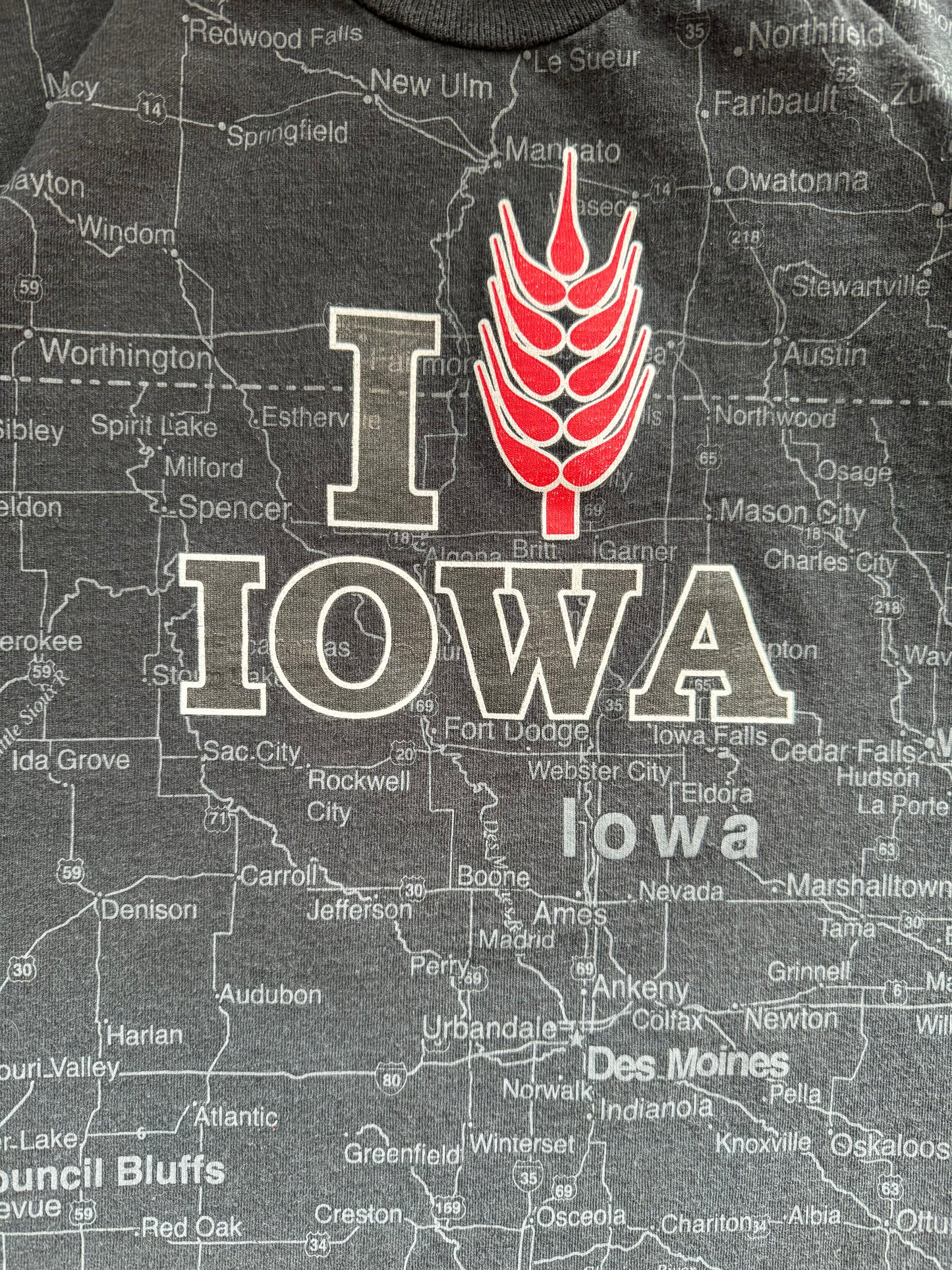 Vintage Iowa Map Tee - L