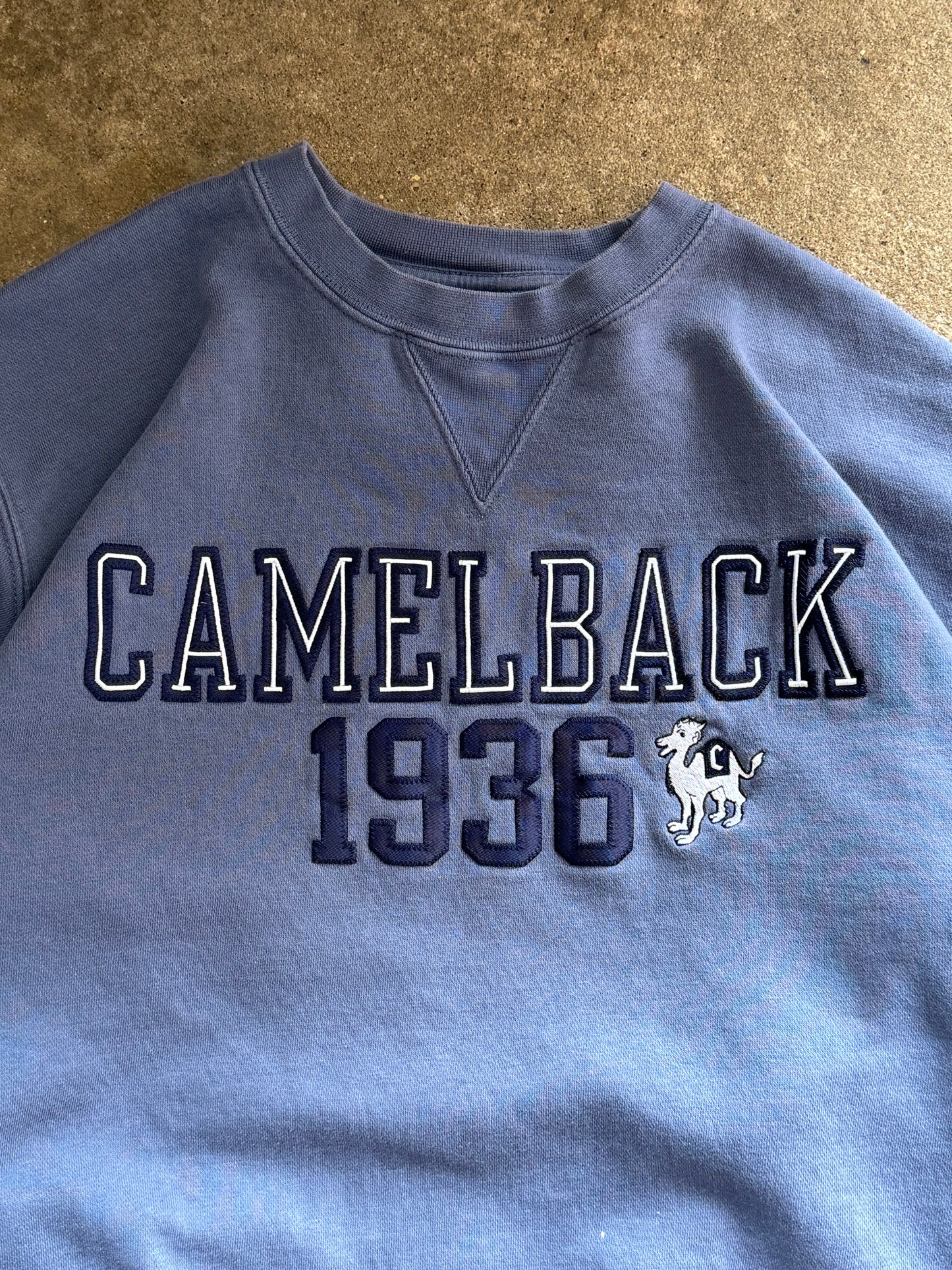 Vintage Camelback Sweatshirt - M