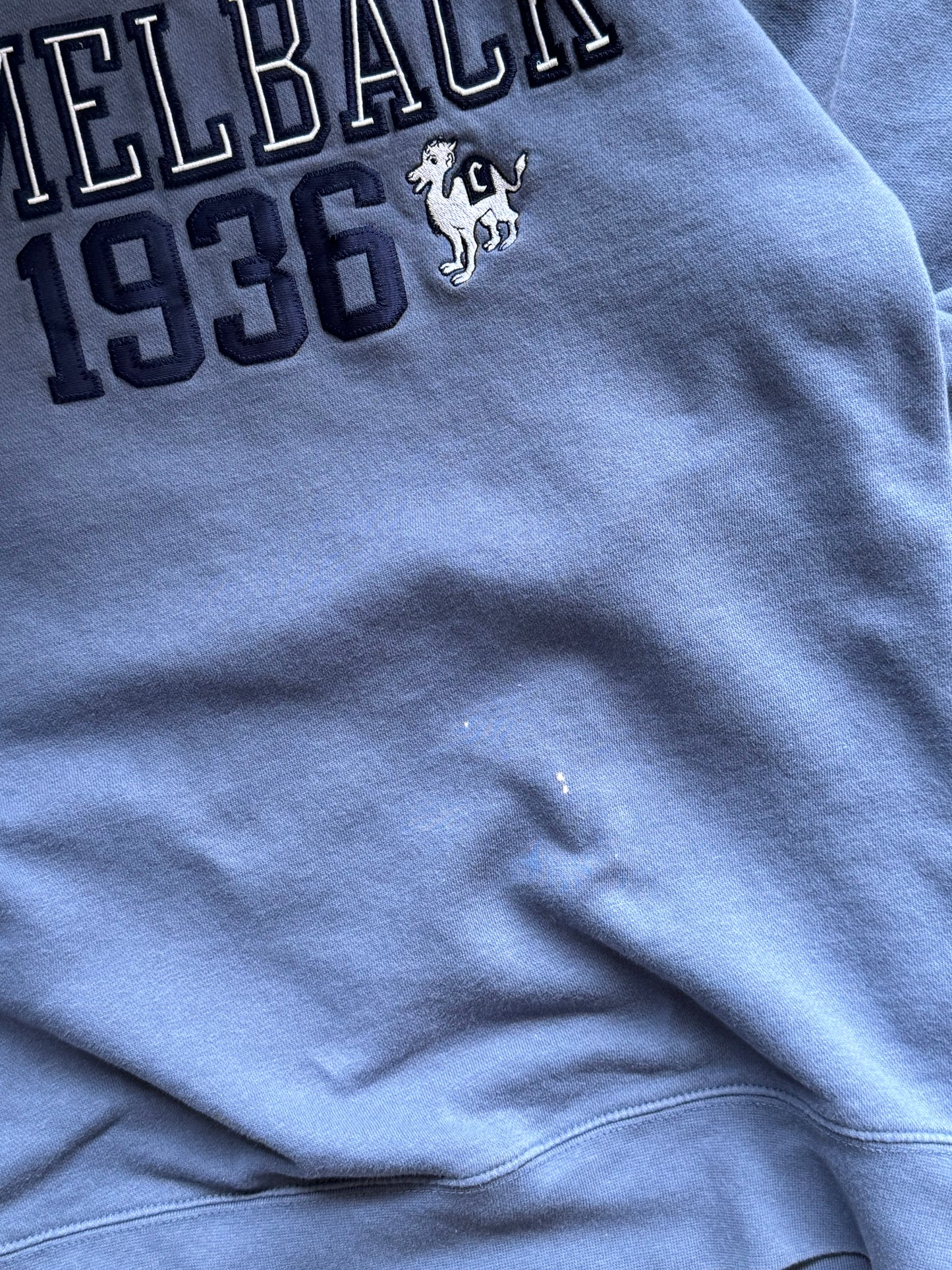 Vintage Camelback Sweatshirt - M