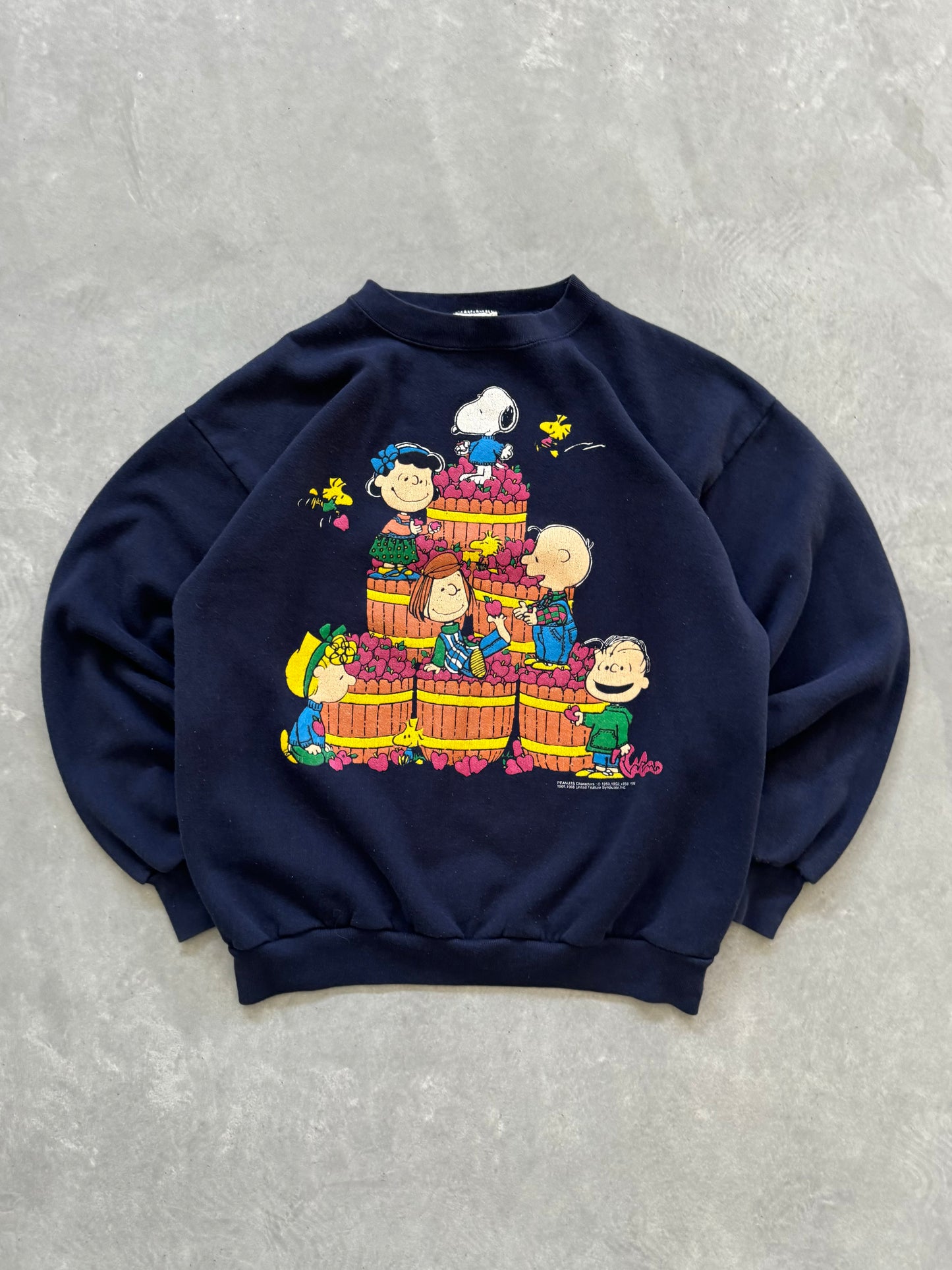 Vintage 70s Peanuts Charlie Brown Sweatshirt - L