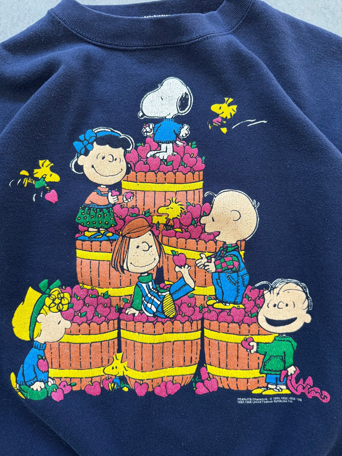 Vintage 70s Peanuts Charlie Brown Sweatshirt - L