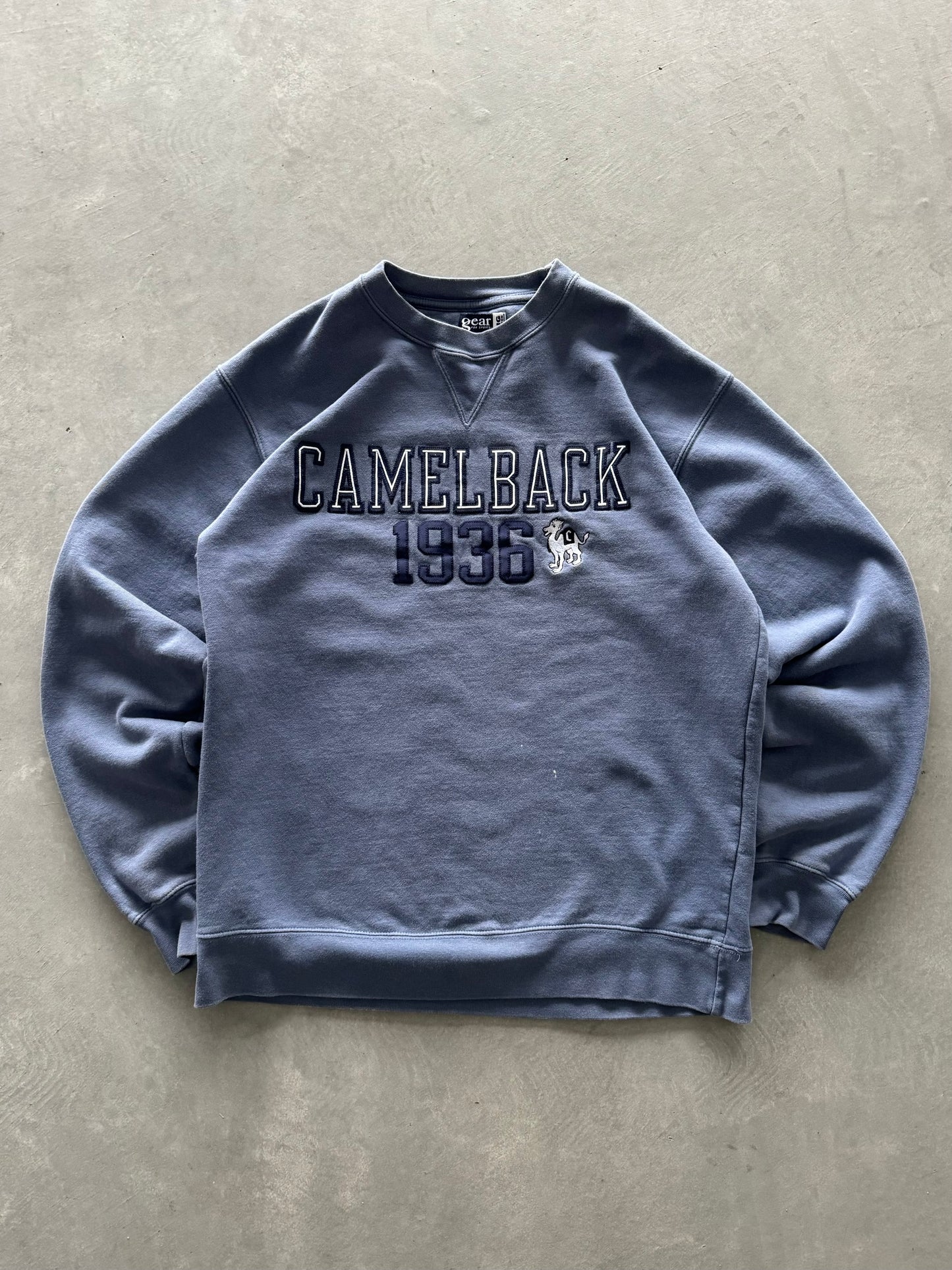 Vintage Camelback Sweatshirt - M