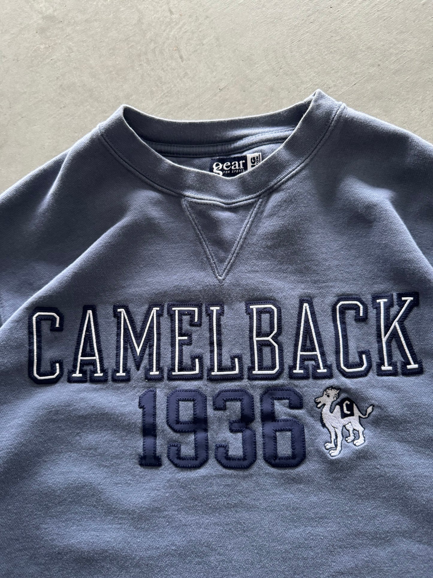 Vintage Camelback Sweatshirt - M