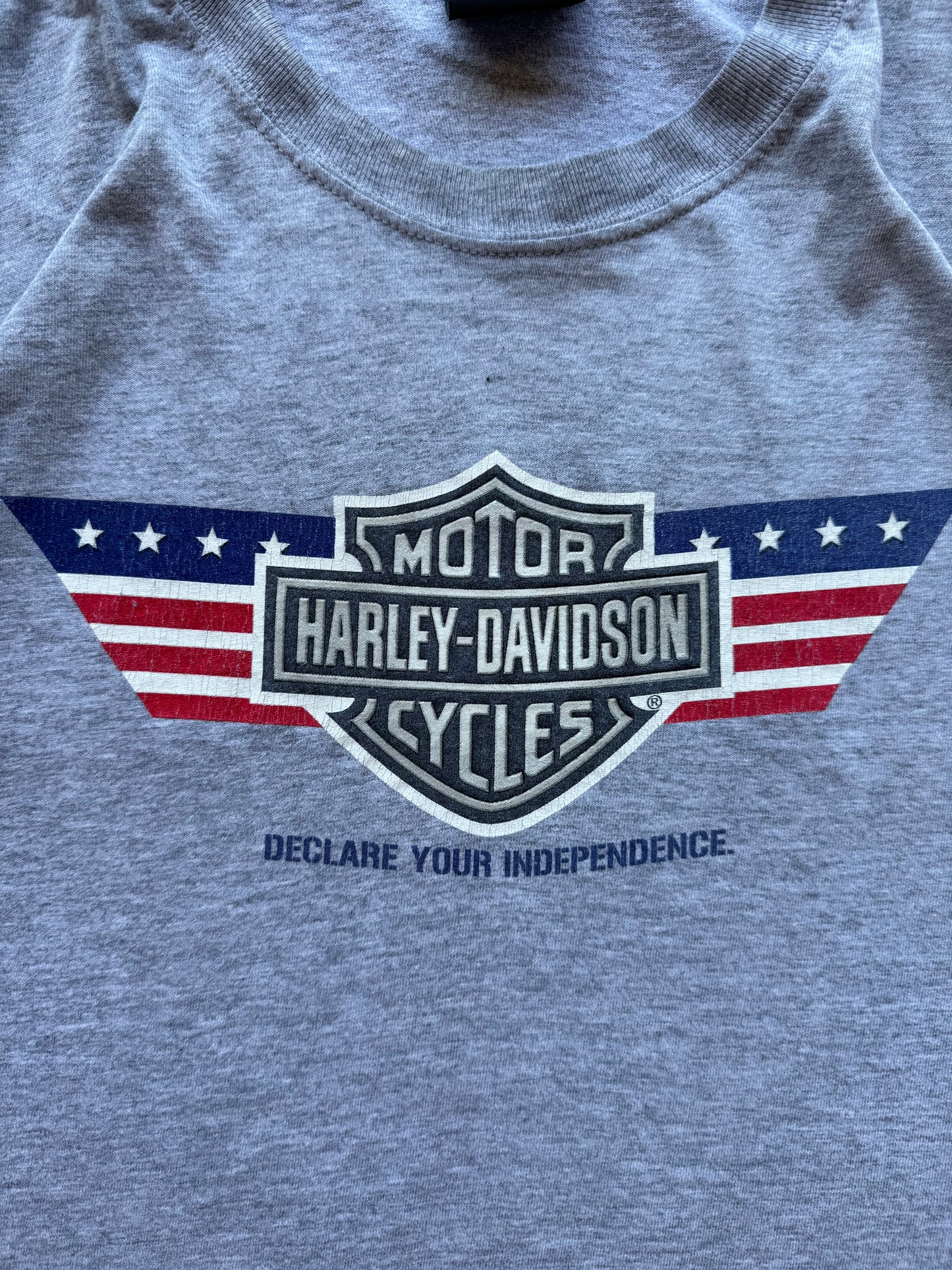 Harley Davidson Independence Tee - XL