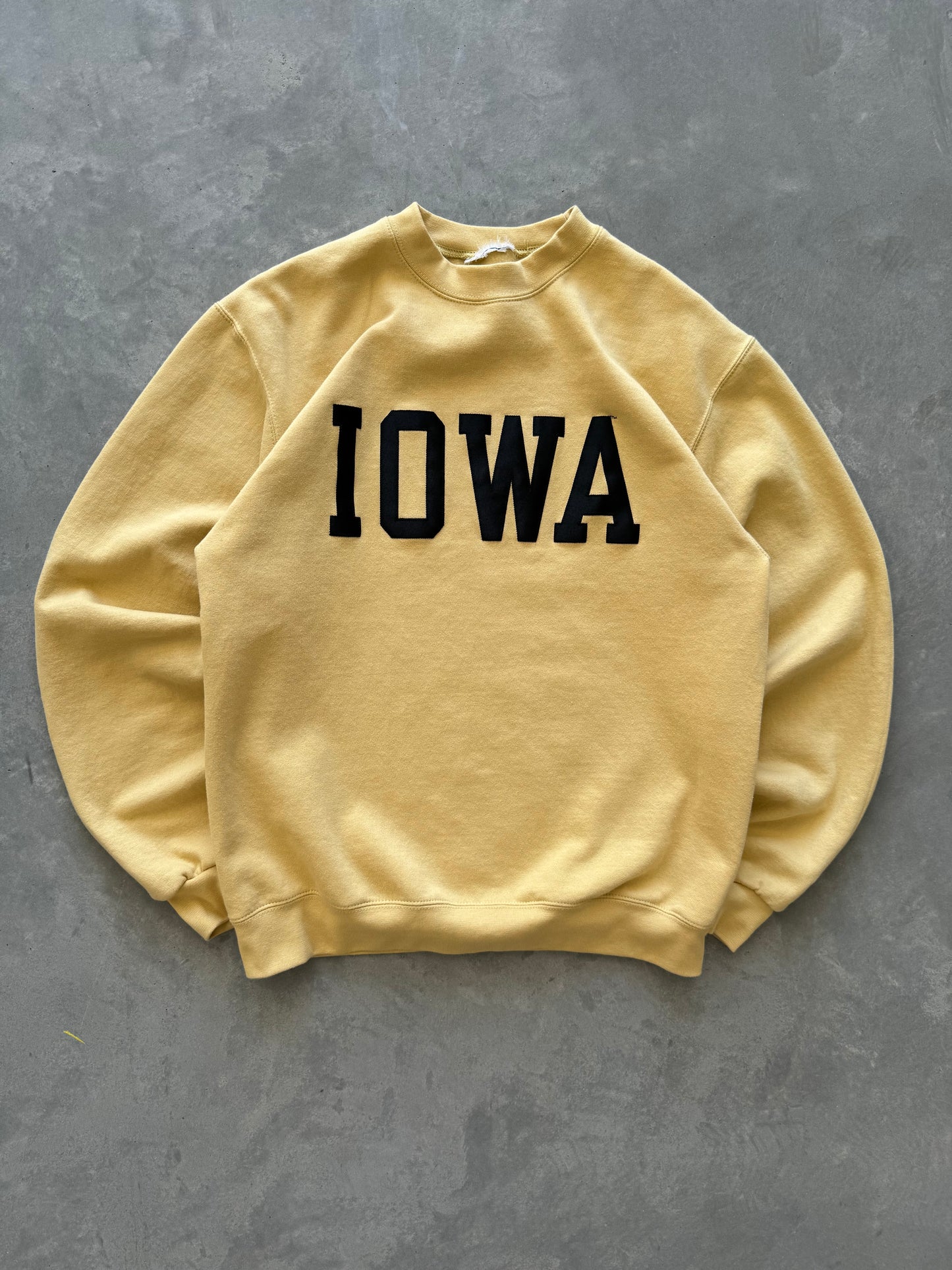 Iowa Champion Sweatshirt - L