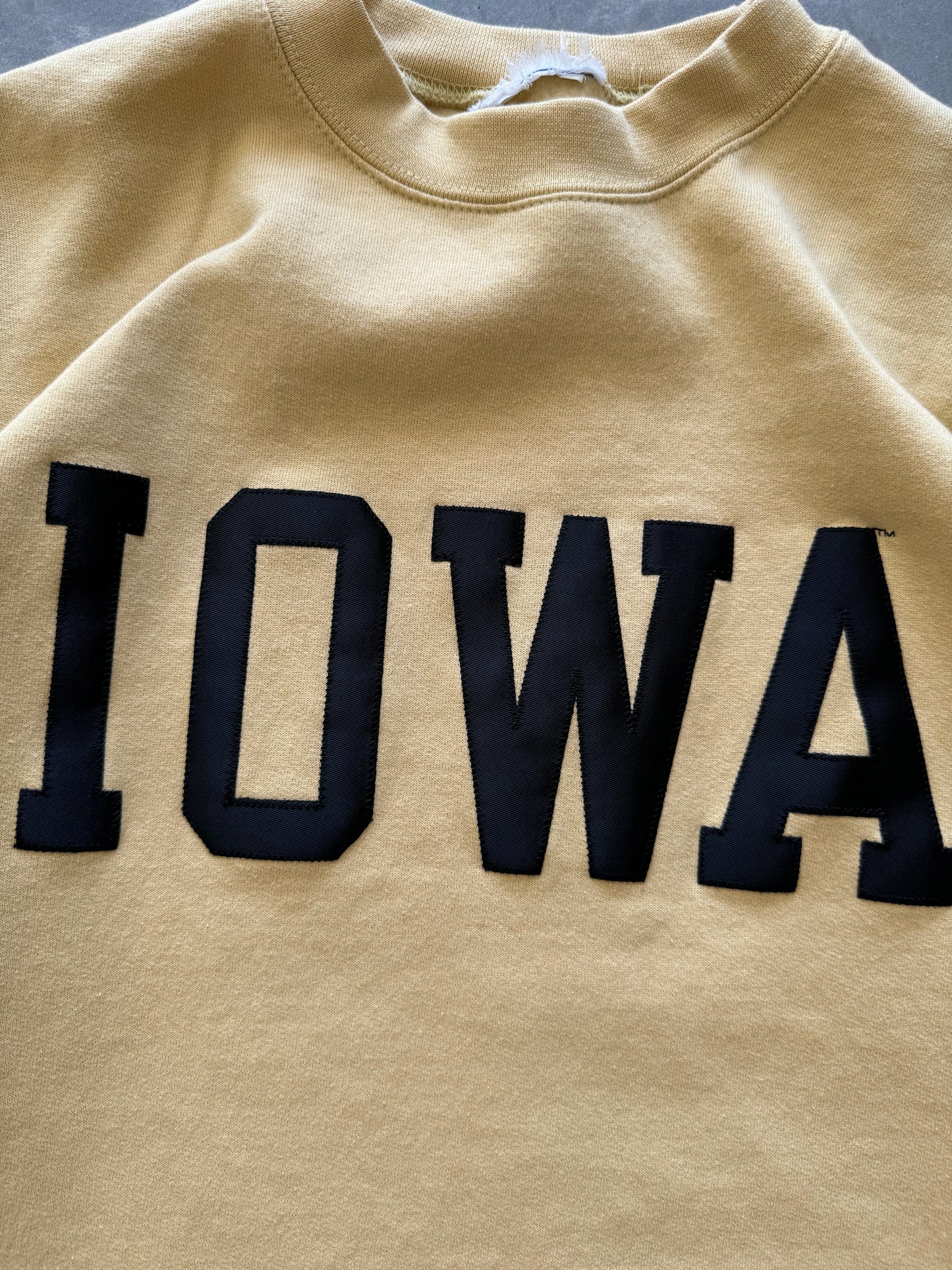 Iowa Champion Sweatshirt - L