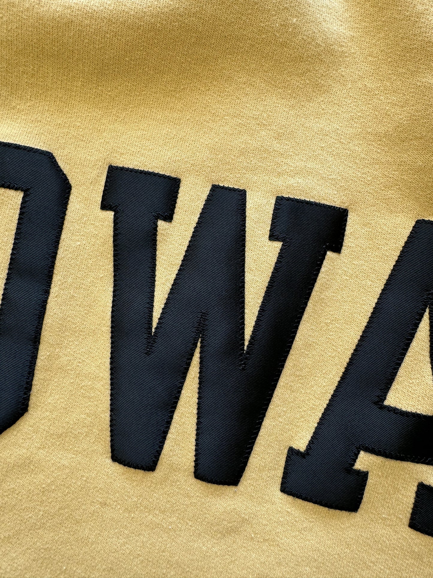 Iowa Champion Sweatshirt - L