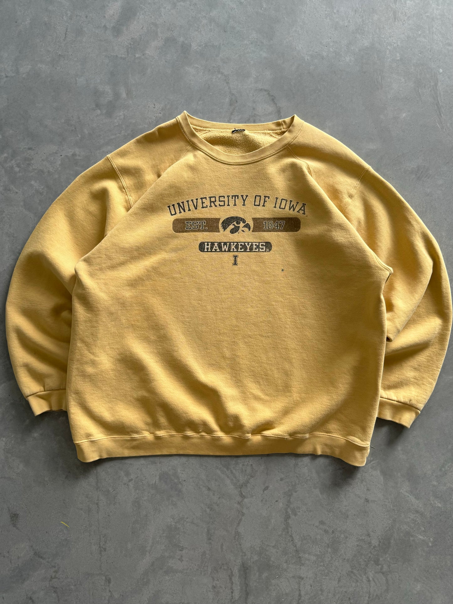 Vintage University of Iowa Sweatshirt - XL