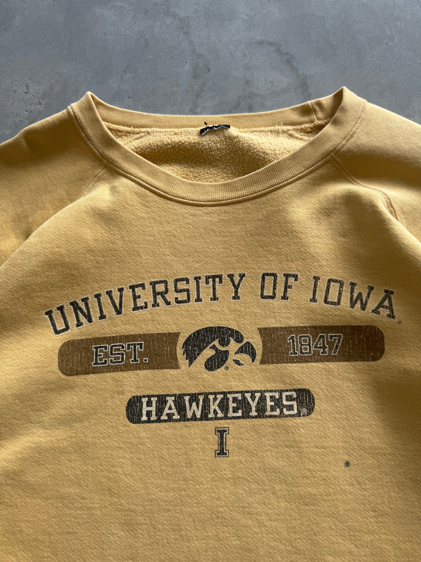 Vintage University of Iowa Sweatshirt - XL