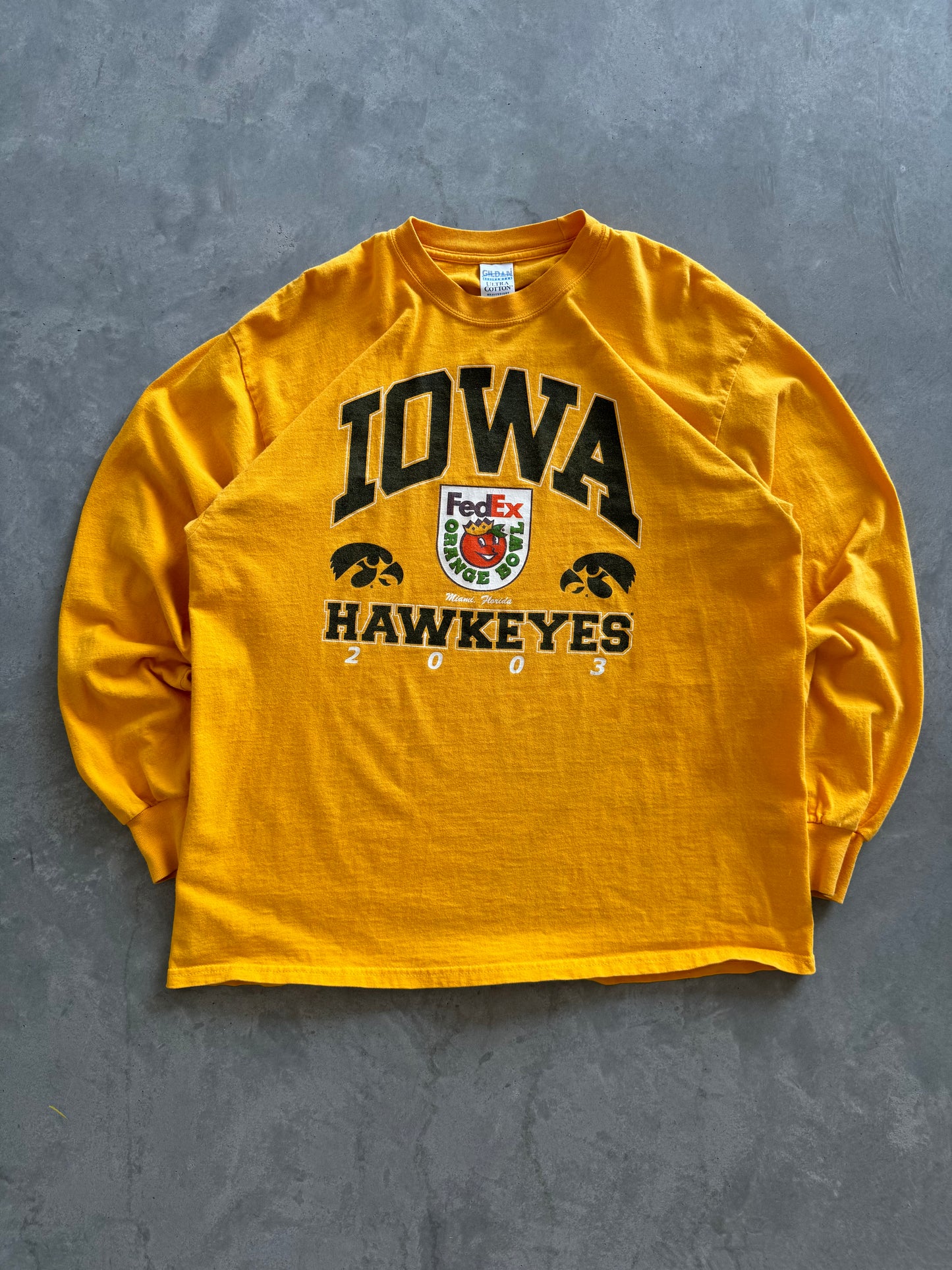 Vintage 2003 Iowa Hawkeyes Tee - XL