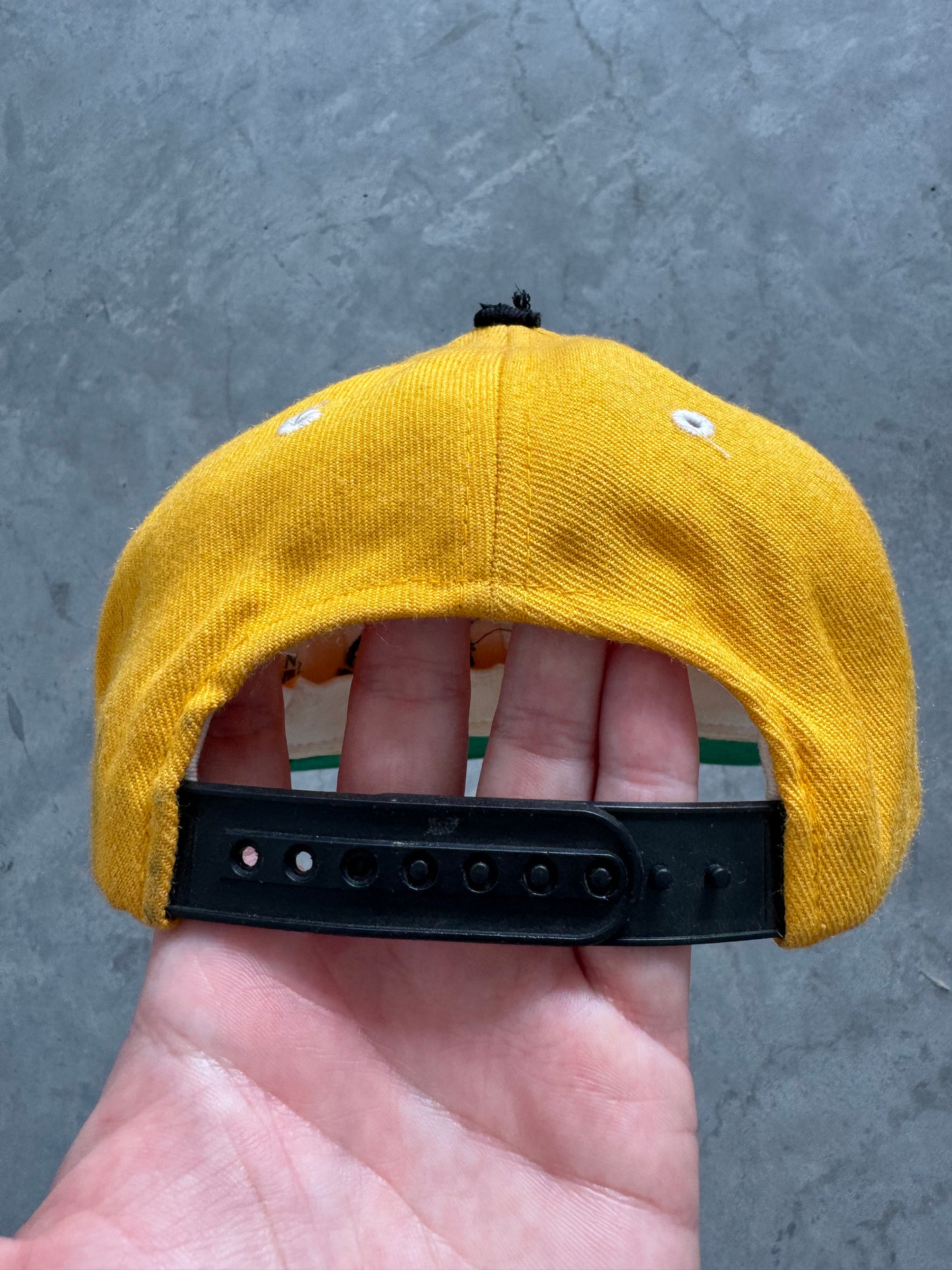 Vintage 90s Hawkeyes Hat